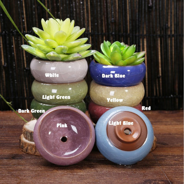 Mini Round Juicy Plants Flowers Vase